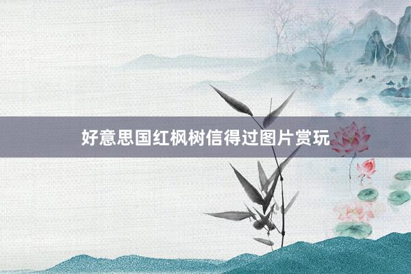 好意思国红枫树信得过图片赏玩