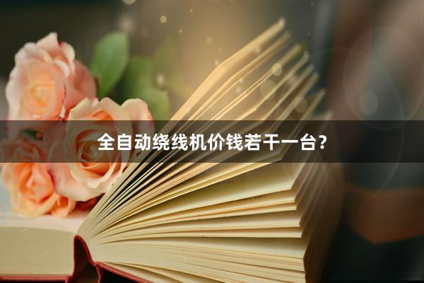 全自动绕线机价钱若干一台？